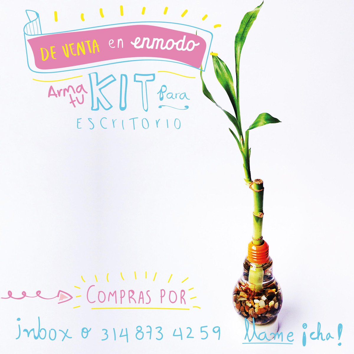_enmodo's tweet image. En #Enmodo puedes armar tu kit &amp;gt; LIBRETA + PLANTA &amp;lt; Y dale un estilo diferente tu lugar de trabajo!