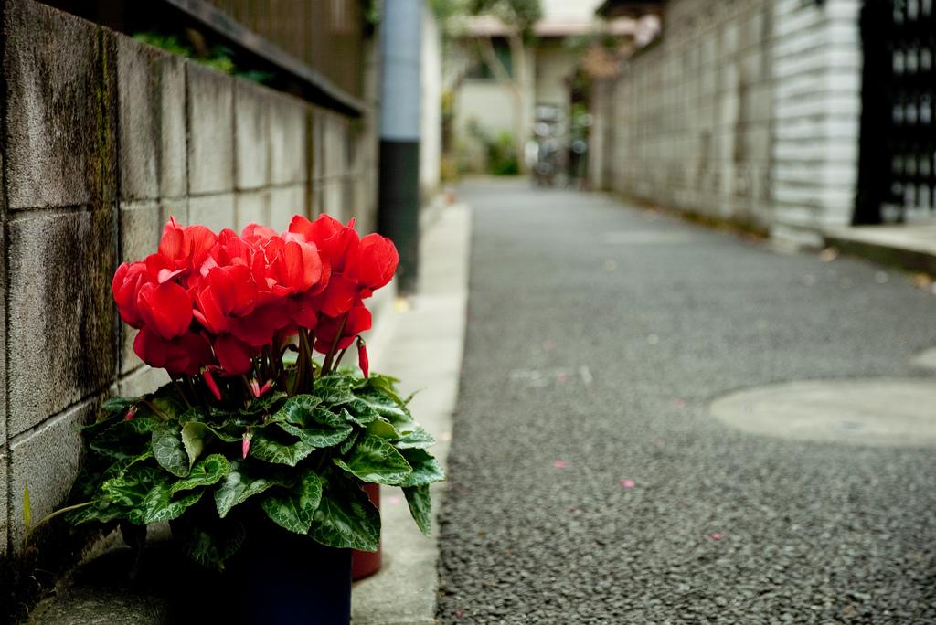 sofiaoraa's tweet image. Vivir en la ciudad no es una excusa para no hacer tu té de compost: tedecompost.wordpress.com/2015/05/28/te-… #TeDeCompost #Compostaje