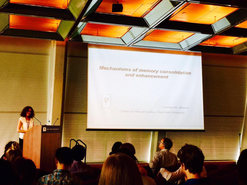 LeDouxScience's tweet image. Cristina Alberini from @NYU, the mechanisms underlying #MemoryConsolidation and #MemoryEnhancement #AdvancesMemory