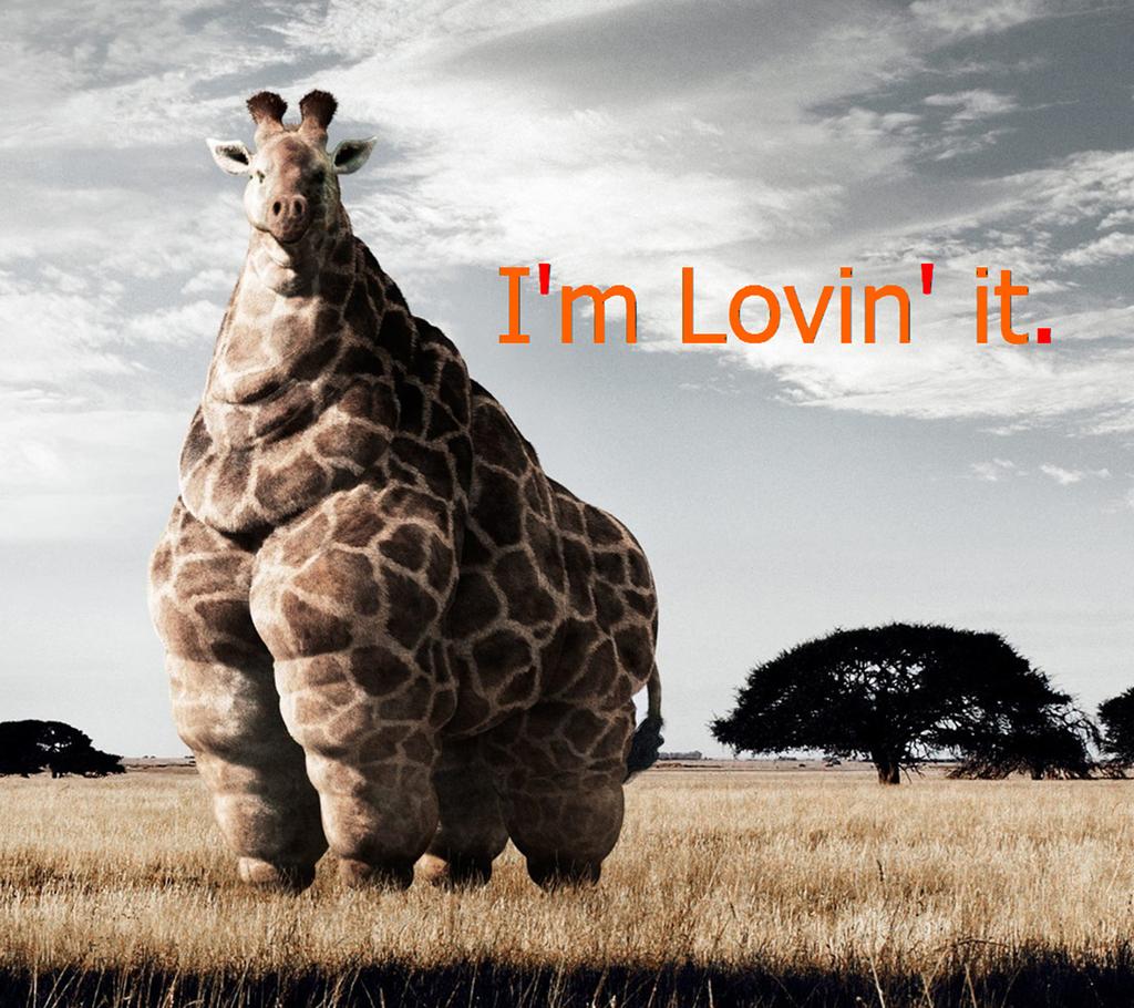 HWichall's tweet photo. Best McDonald's advert ever http://t.co/Ax8rMZzbtE