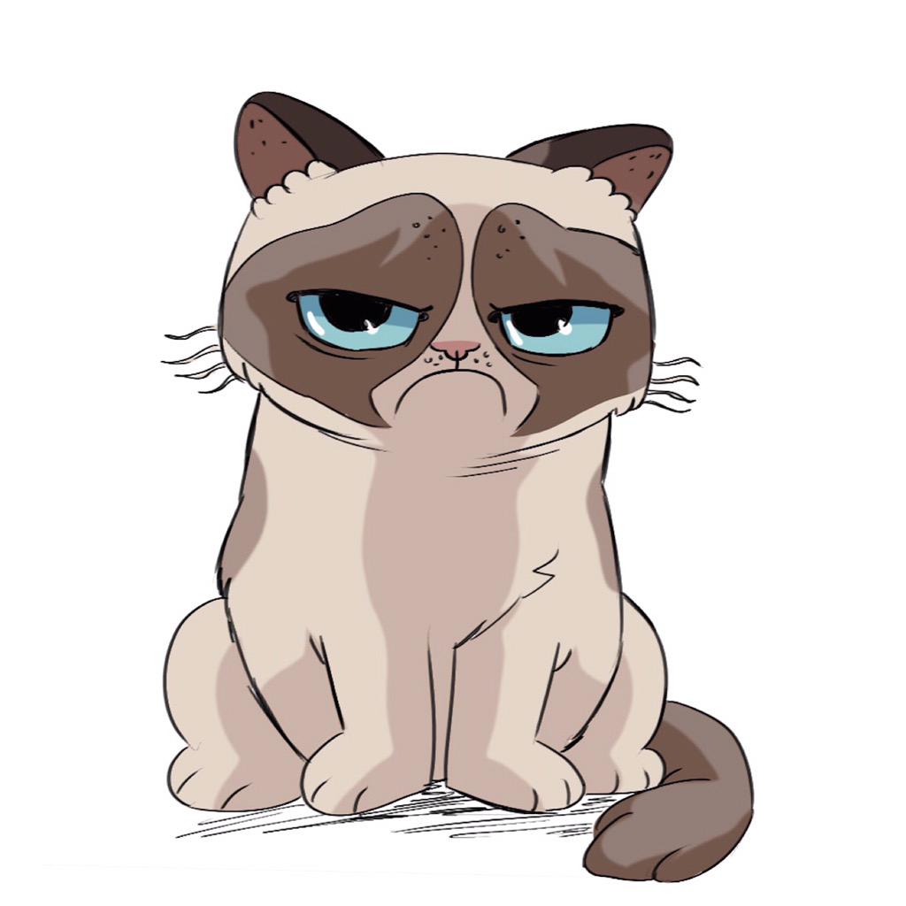 Grumpy Cat on Twitter: "http://t.co/IEJ3NU66Pg"