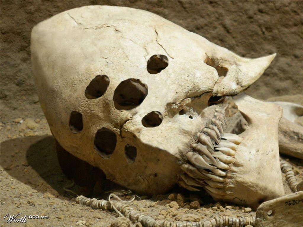 SecretFilesDocs's tweet image. #Secret #Classified #Intel #Intelligence #CIA

REAL ALIEN SKULLS .zip
mediafire.com/?83jg9riggr499…
mega.co.nz/#!oJ0iXYIa!iJh…