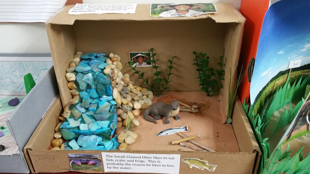 MilleyEDU's tweet image. Listening to #c2enexus7 present their @DenverZoo dioramas to the class. They learned so much! #edtechlearning