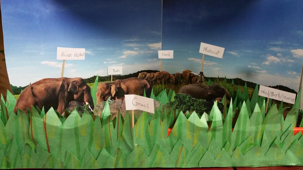 MilleyEDU's tweet image. Listening to #c2enexus7 present their @DenverZoo dioramas to the class. They learned so much! #edtechlearning