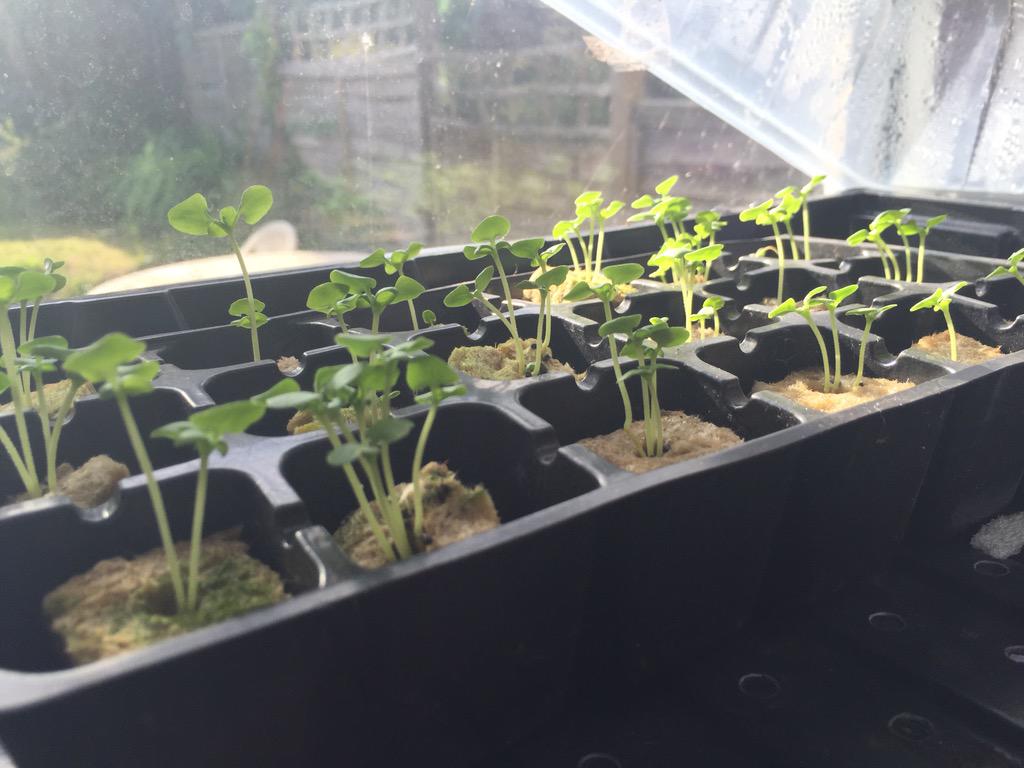 Liquid Farms tweet media