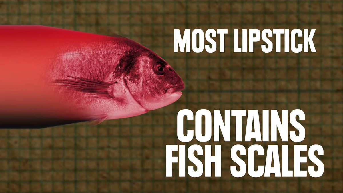 strangefacts34's tweet image. Did you know? #strange #lipstick