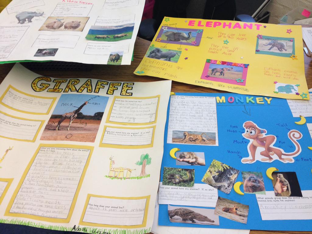 Nuffer Elementary tweet media