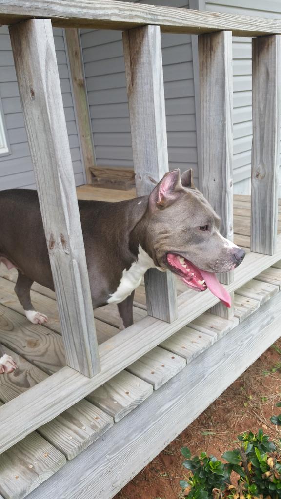 Sosa (@sobluesosa) on Twitter photo 