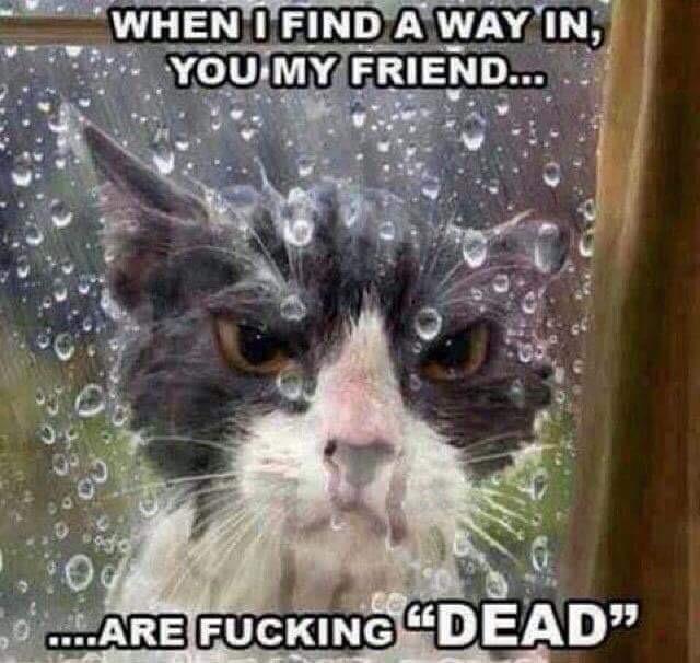 Peaches (@pleasures) on Twitter photo 