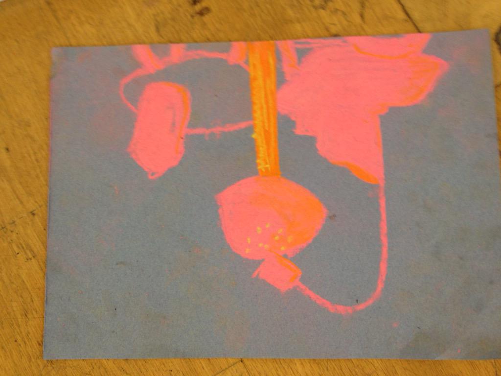 Tilly Wilson (armstrong_tilly) Twitter