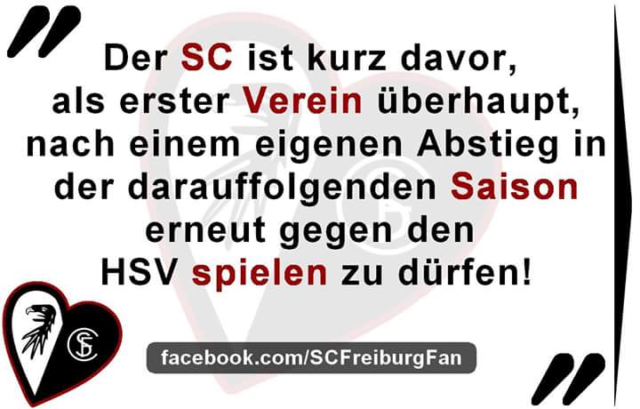 Hel_jah's tweet photo. #scfreiburg #freiburg #scf #hsv #Relegation http://t.co/zITUjNaYnD