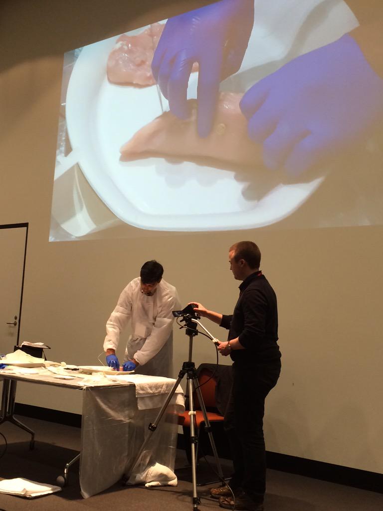 A/Prof Atif Khan demonstrates interstitial sarcoma brachytherapy implant on a chicken fillet.