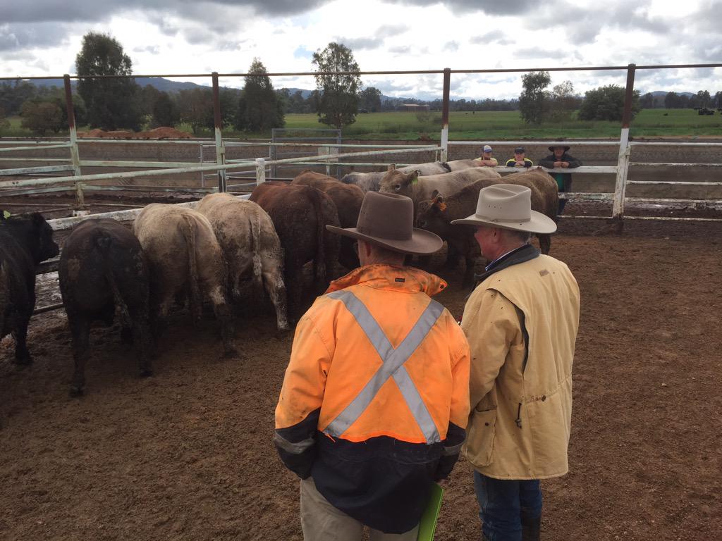 Judging underway, <a href="/ANFD_Orange/">ANFD</a>