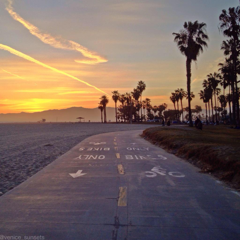 Ian Greenberg (@iggyrsa) on Twitter photo 