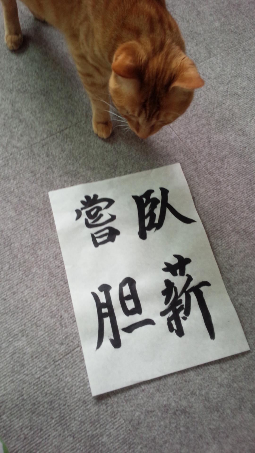 唐烏路空 Krsw Nuclear Twitter
