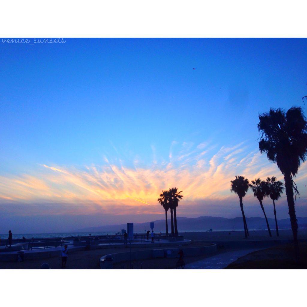 Ian Greenberg (@iggyrsa) on Twitter photo 