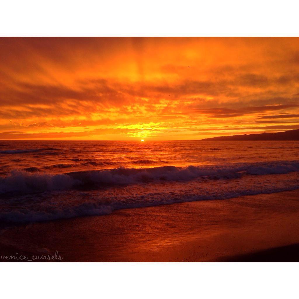 Ian Greenberg (@iggyrsa) on Twitter photo 