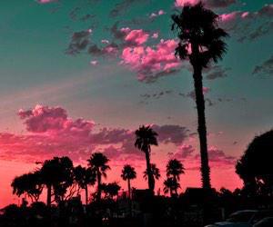 TropicaIPosts's tweet photo. California has the best sunsets out there!! http://t.co/akHuppNb3i