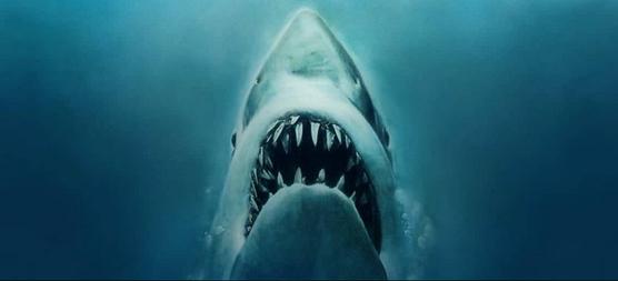 bmoviesd's tweet photo. JAWS is briefly returning to theaters, so don't miss it. http://t.co/TYdS6lZIpr http://t.co/MMvubQHvyd