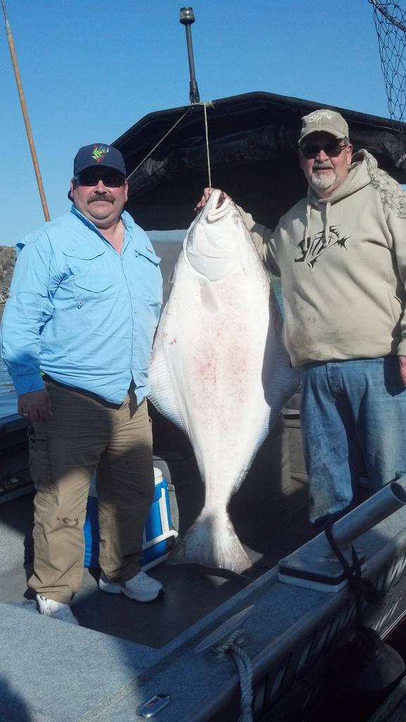 103# halibut