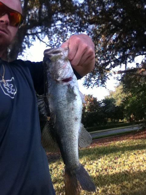 PDudkiewicz32's tweet image. Slayin the bass back to back days! 9 in two days #BassAssassin 🎣