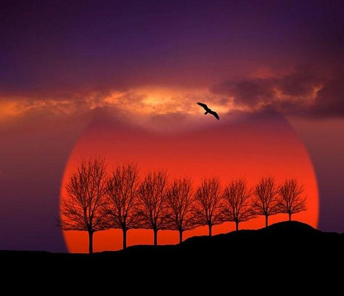 myall3000's tweet image. 