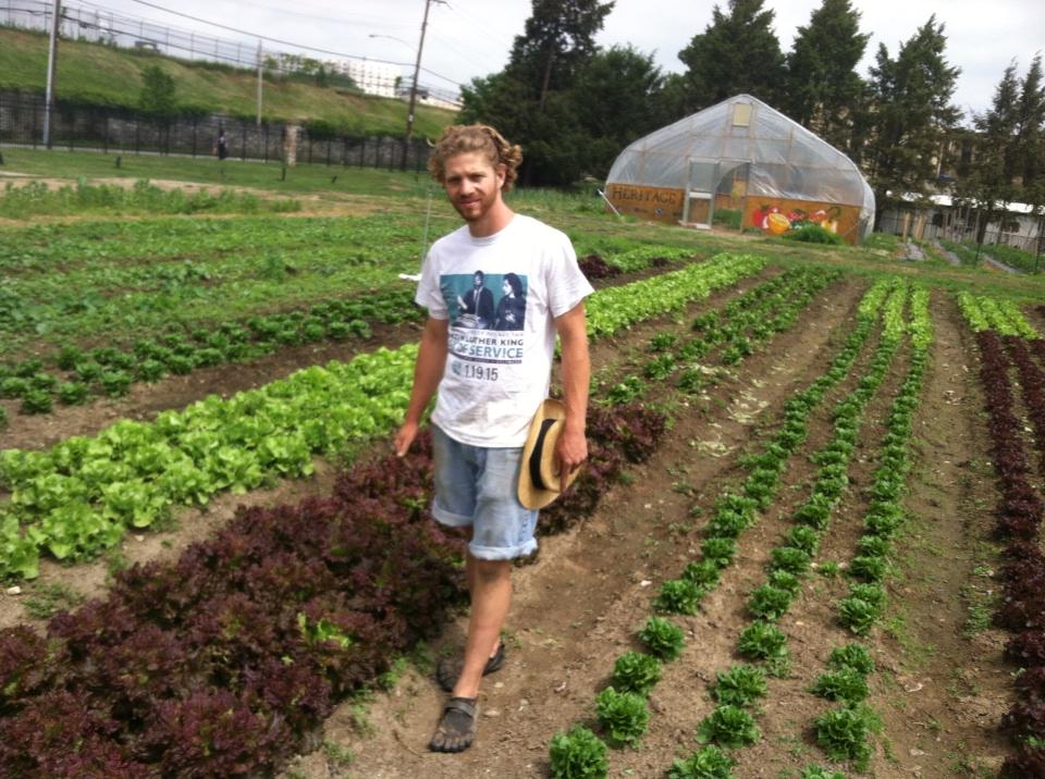 Right before harvesting our salad for the weekend#heritagefarm#dereksmanayunk