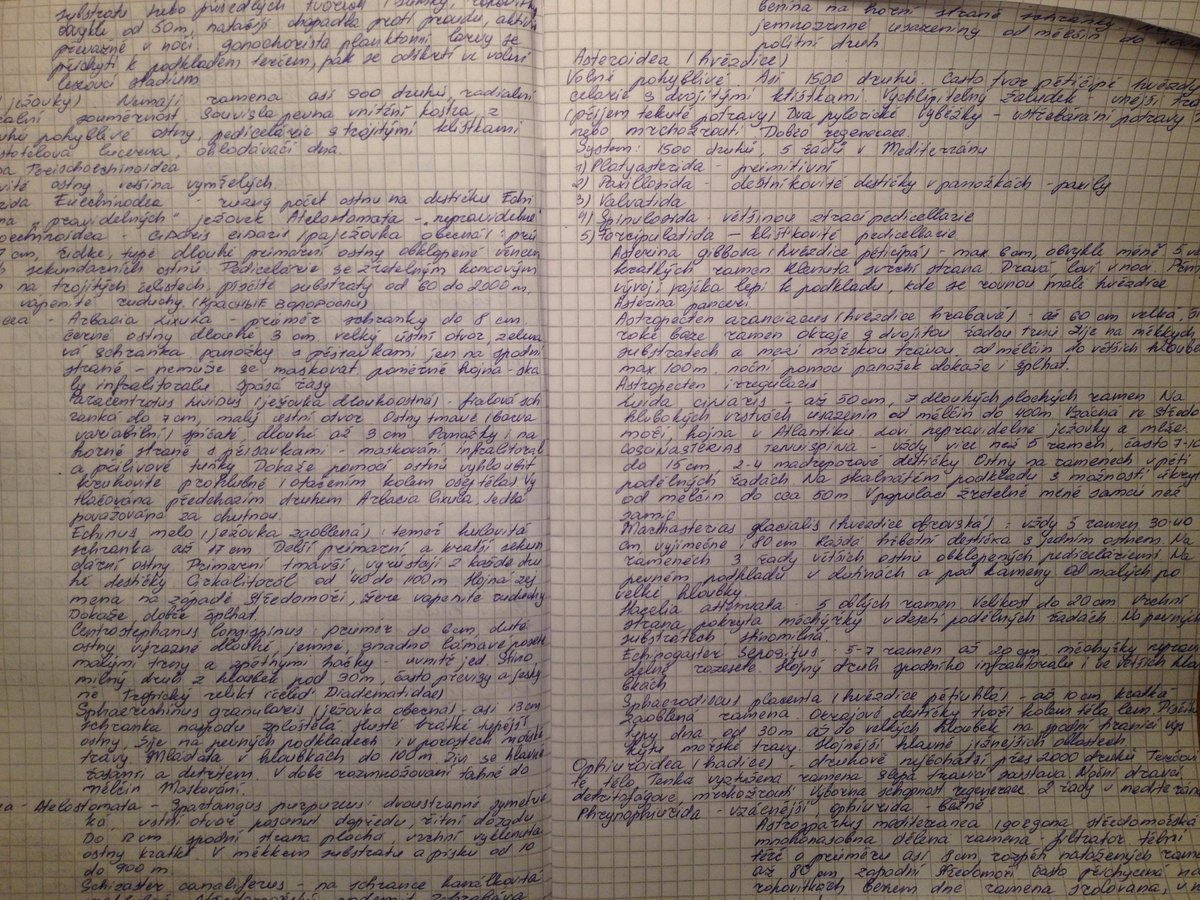 After 5 hours of permanent handwriting my calligraphy became a little bit better)