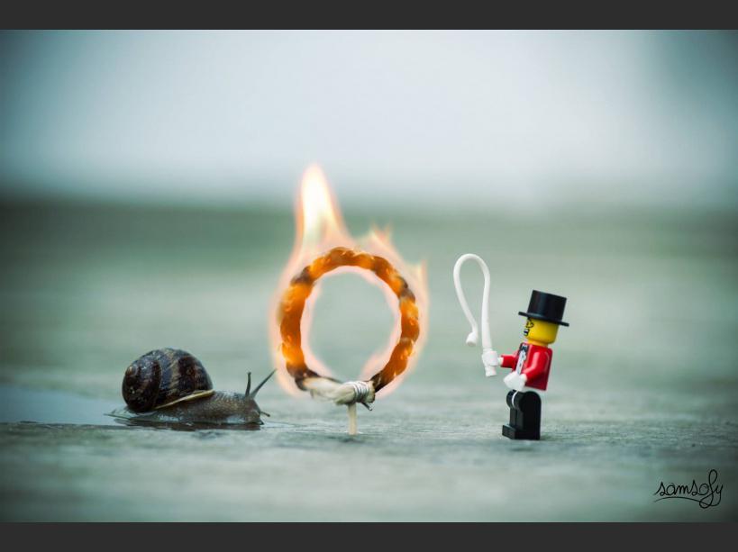 Le_NouvelObs's tweet photo. #PHOTOS - La vie secrète des Lego >> http://t.co/w9WJ3TAiS3 http://t.co/XGYAVgRWfu