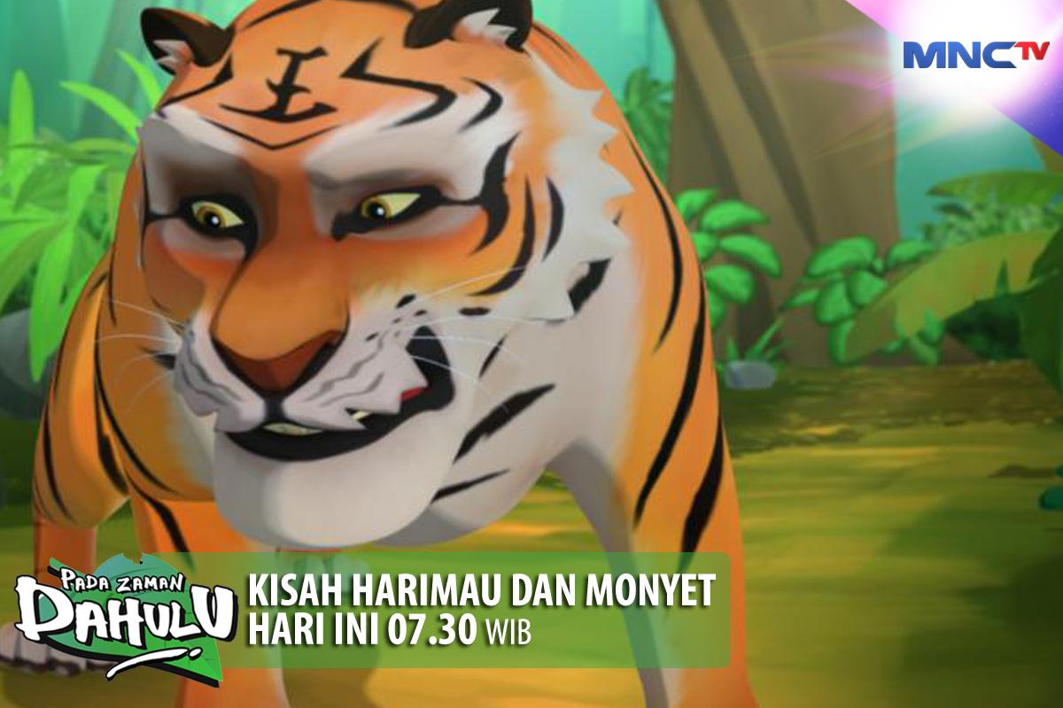Download 960 Gambar Harimau Dan Monyet  Gratis HD