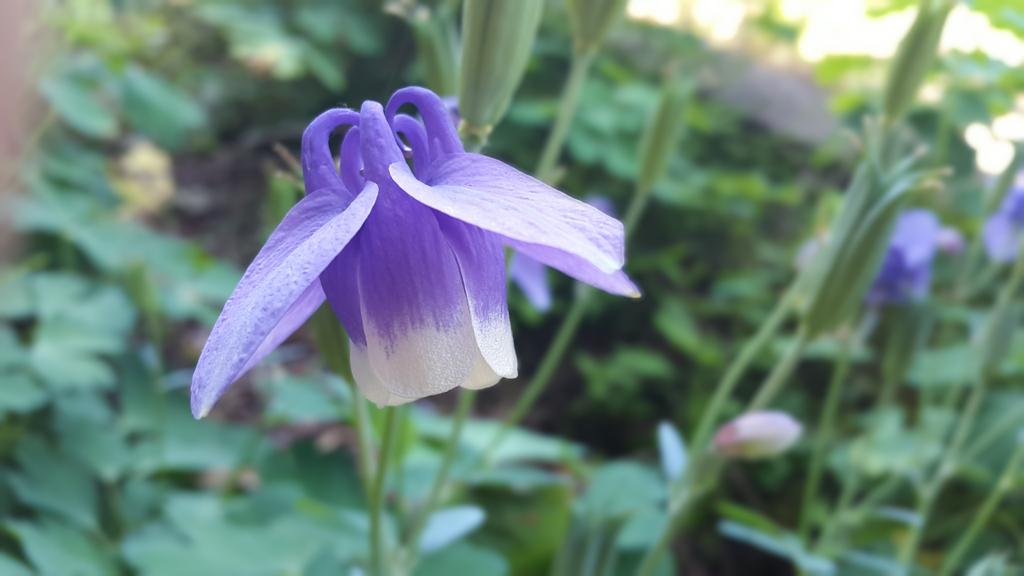 newjjun's tweet image. 