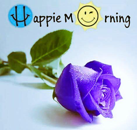subramanyamveni's tweet photo. Good morning to all http://t.co/dO6x21dSkd