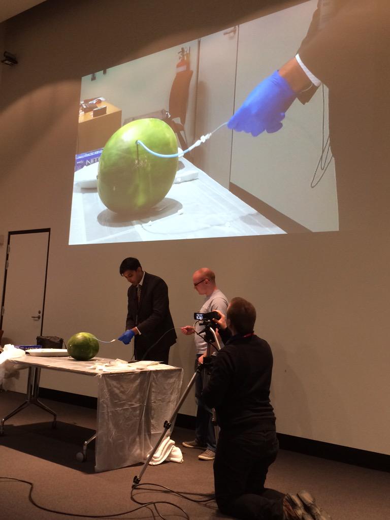 Day 2 ABG Clinical Brachytherapy Course-A/Prof Atif Khan demonstrates bile duct brachytherapy implant on watermelon.