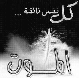 اللهم هون حساب والدي وجميع موتانا ولين ترابهم وألهمهم حسن جوابهم وطيب ثراهم وأكرم مثواهم واجعل الجنة مستقرهم ومأواهم