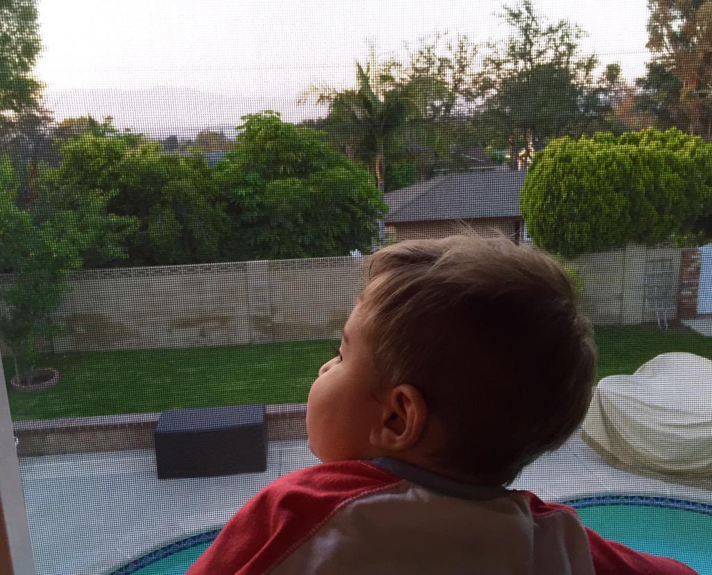 LinearProd's tweet image. Hanging with my buddy tonight.