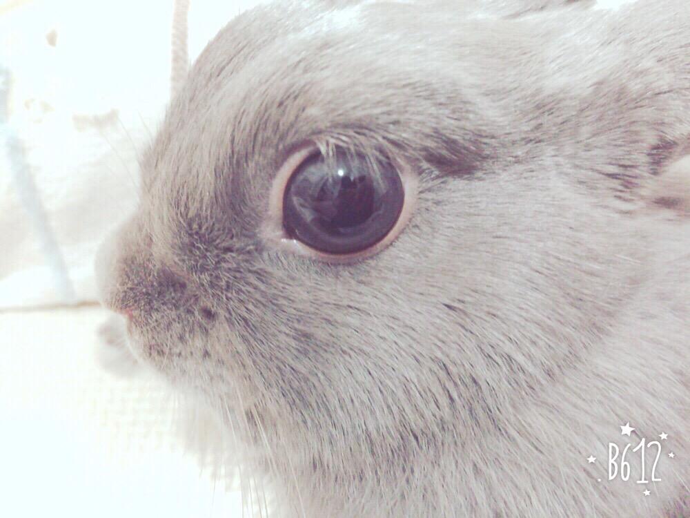 まつ毛が長い。