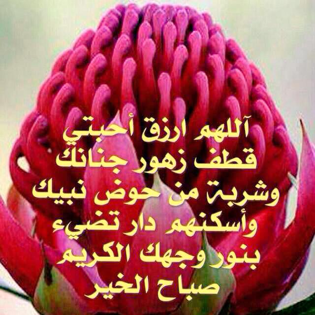 osamapalla's tweet photo. جمعة سعيده http://t.co/lPjup8ML2q