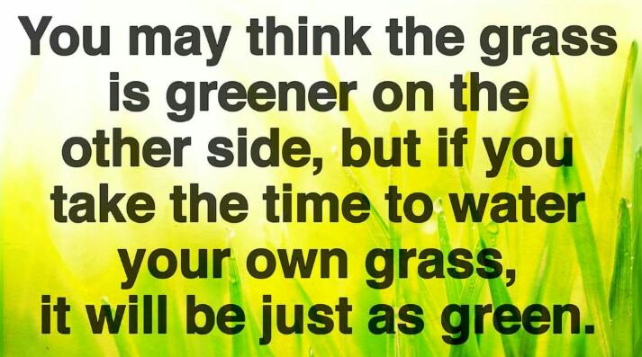 Start watering our grass. Let's gooooo