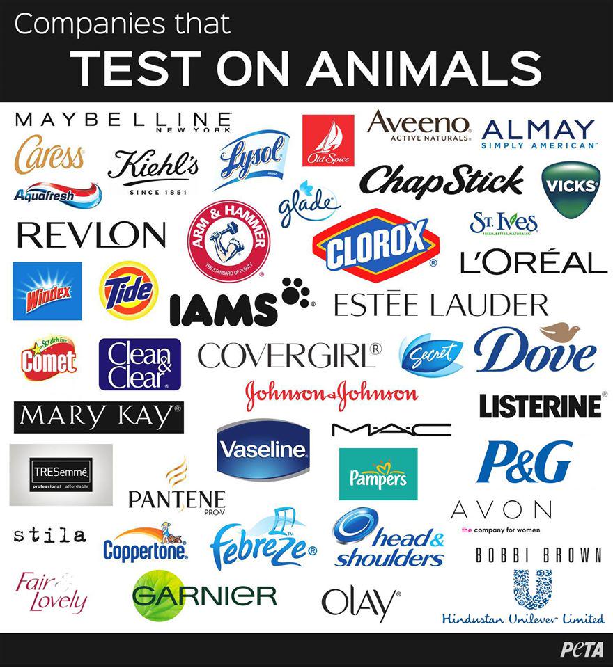 using animals for product testing Should animals be used for scientific or commercial testing toxicity of medications, check the safety of products destined for human use,. using animals for product testing Should animals be used for scientific or commercial testing toxicity of medications, check the safety of products destined for human use,.