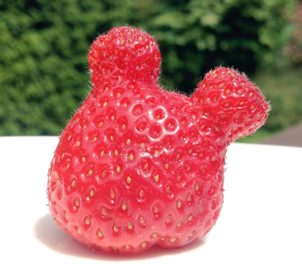 #hiddenmickey strawberry. And no, I'm not @disneyland