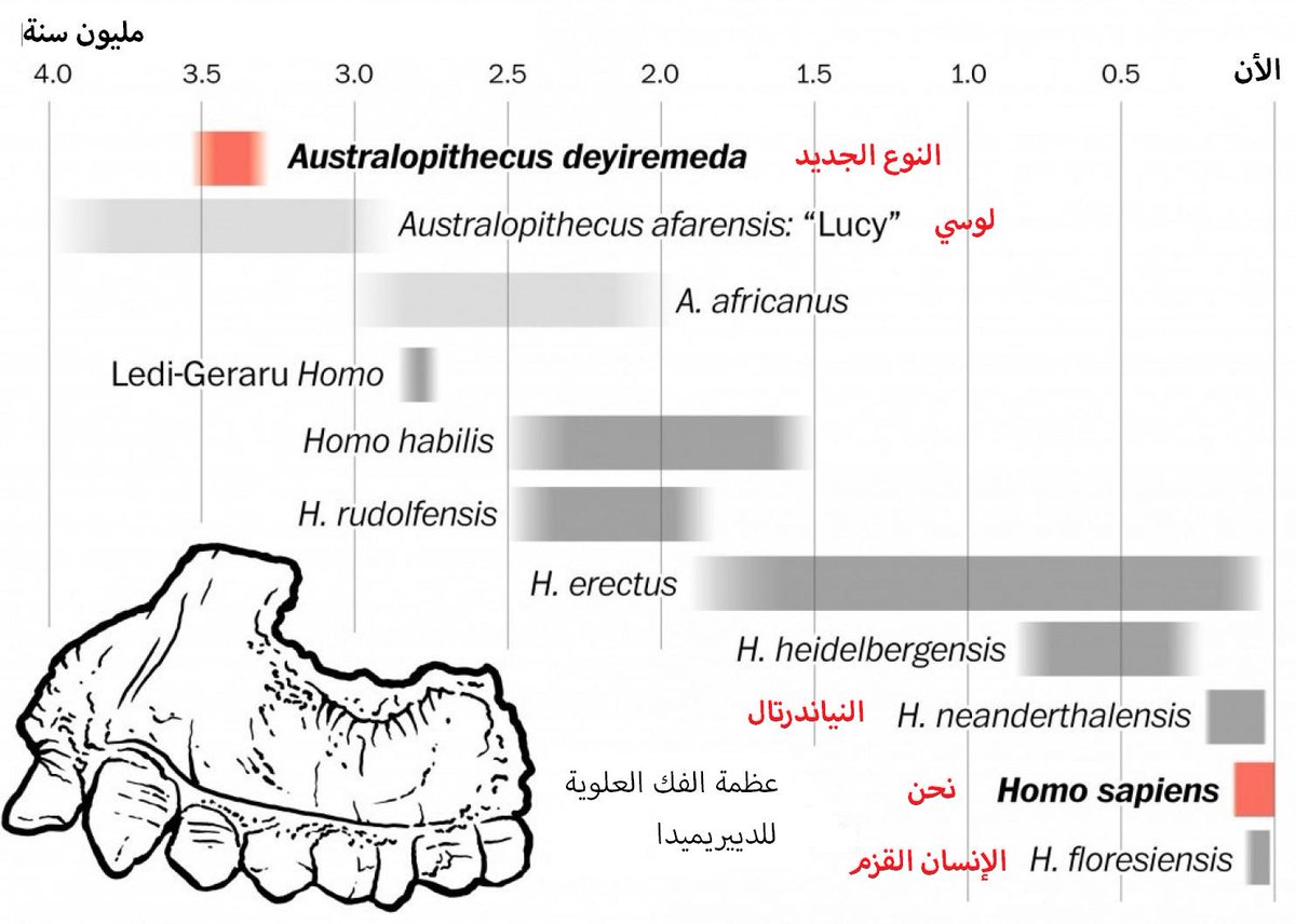 EvolutionArab tweet picture