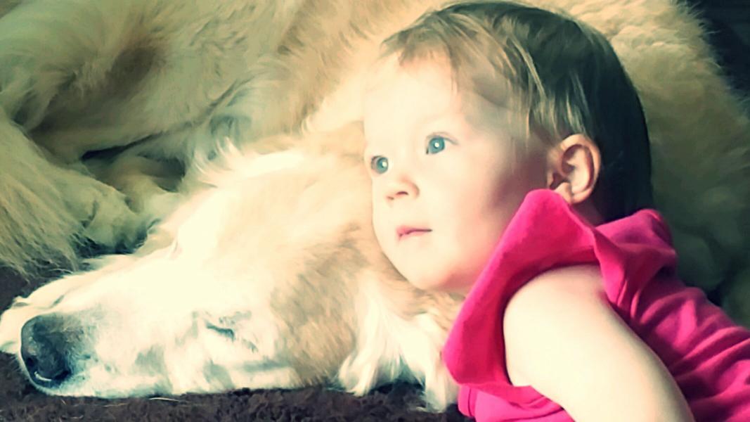 GivingRetriever's tweet photo. Confident, Vulnerable, Trusted #IrvinetheGivingRetriever http://t.co/3Y18lvmC0I