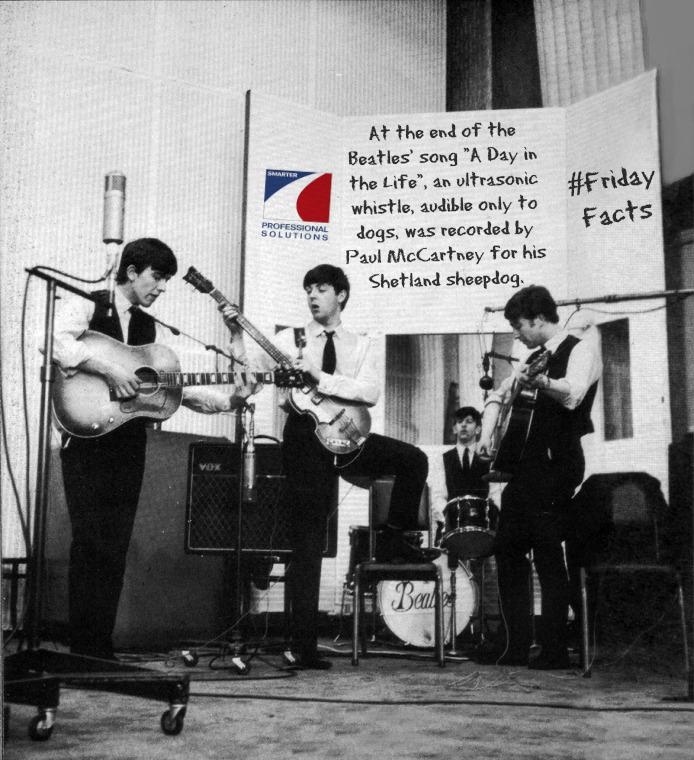 SmarterProS's tweet photo. #TheBeatles has inspired our #FridayFacts for today, happy Friday everyone! :) http://t.co/79jfGwafWW