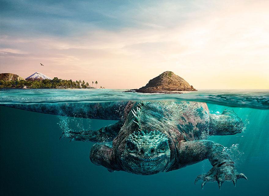 truecreativeltd's tweet photo. Check out these stunning photos! Part submerged creature, part Galapagos Islands.
http://t.co/KPcecHp11g http://t.co/T5yQlH6Z3X