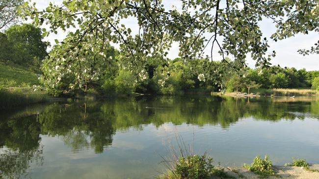 MySwitzerland_i's tweet photo. Consiglio per #Zurigo: #Irchelpark: una romantica oasi urbana dalla natura rigogliosa http://t.co/fMtQBgzimk http://t.co/aWQnx5LbOP