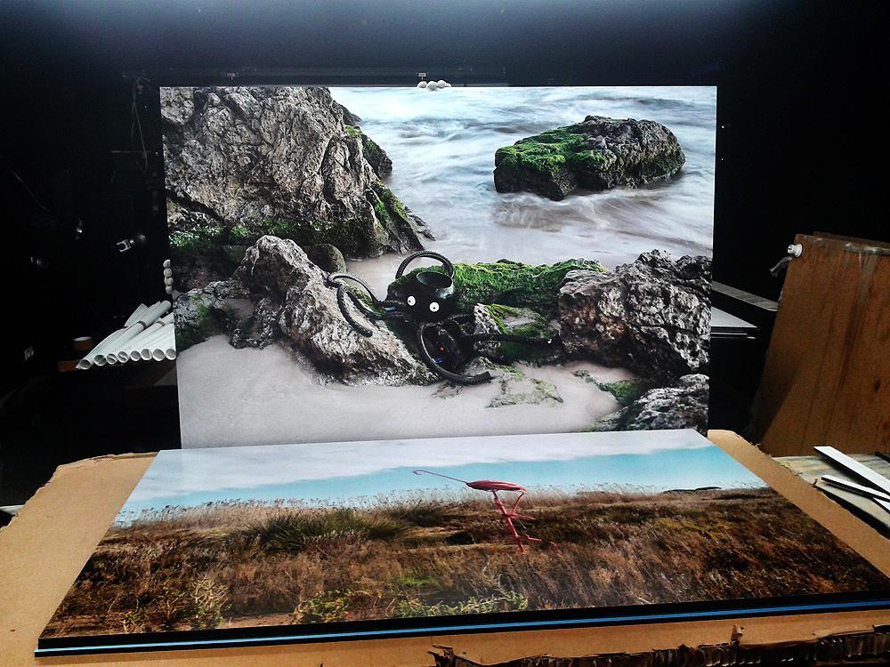alesvince's tweet photo. Weird Animals the 10th of June 8pm at Can Basté Barcelona. 
#DOCfield #exhibition #recycling #photography #Nature http://t.co/cexfApZUzC