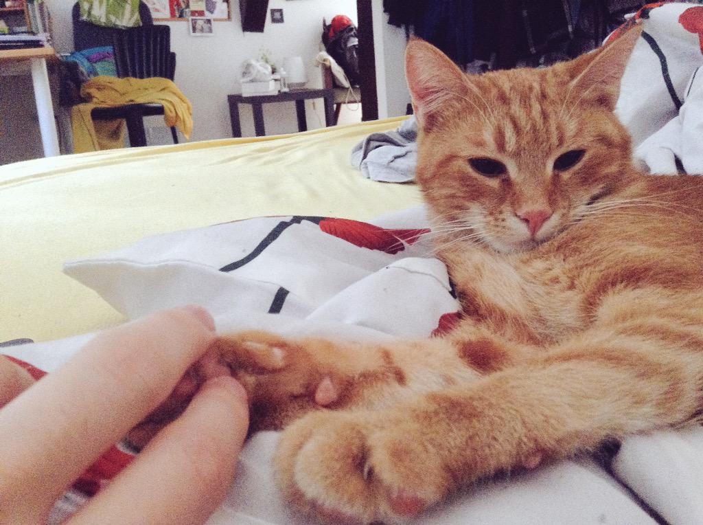 viggieisgonna's tweet photo. Holding hands with my bae. #ingver http://t.co/JdiaJWyn7U