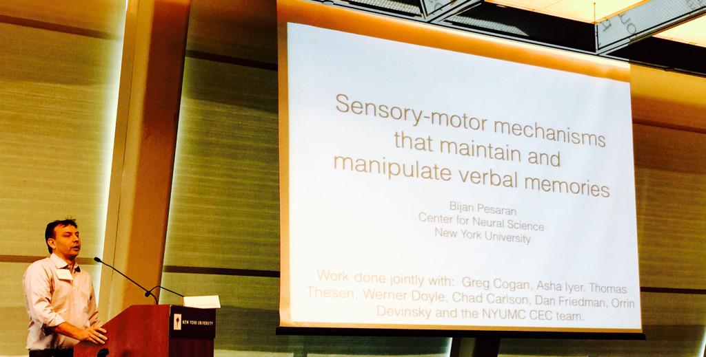 LeDouxScience's tweet image. Dr. Pesaran from #NYU talking about the mechanisms maintaining verbal and spatial #Memory #AdvancesMemory