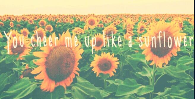 Layouts_Lester's tweet image. Phil Lester "You cheer me up like a Sunflower" rt/favourite if you are using and as always please give me credit 🌻
