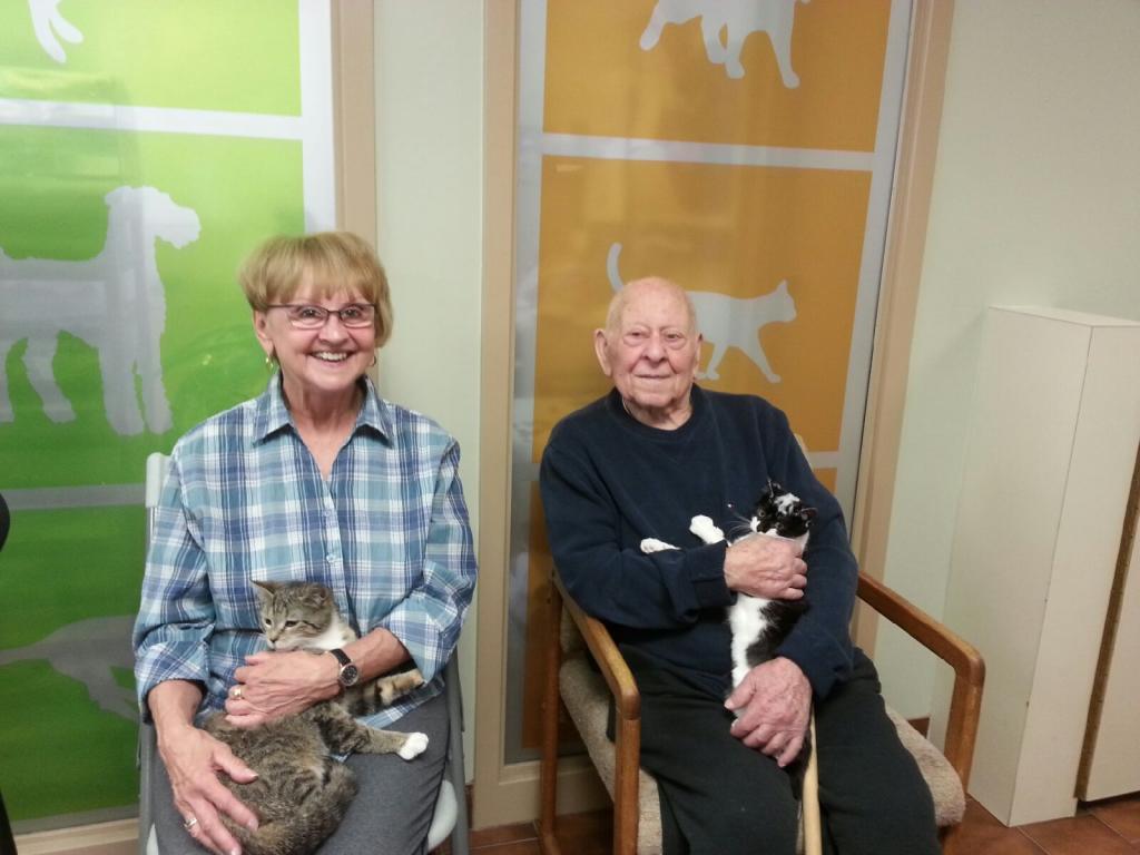 London Animal Care tweet media